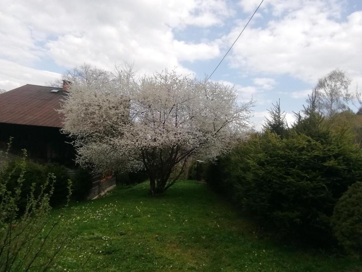 Rzeczne Zacisze Hotel Ustrzyki Dolne Buitenkant foto